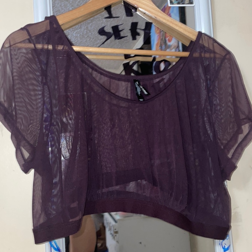 Sheer crop top bralette